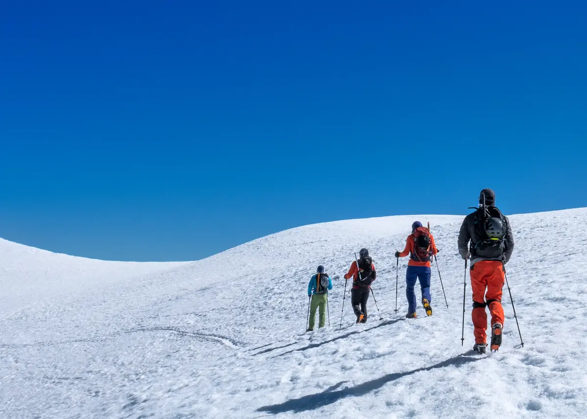 Four mountaineers ascending a bright snowfield beneath a deep blue sky